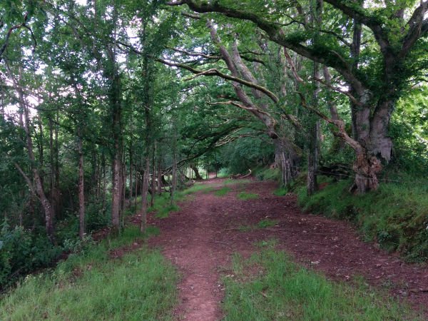 Footpath to Hatherleigh Footpath to Hatherleigh